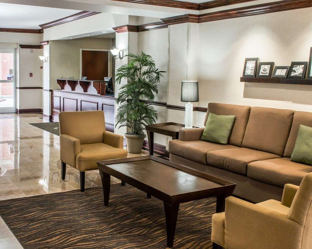 Comfort 3*